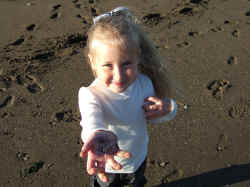 DSCF1402.JPG (3114345 bytes)