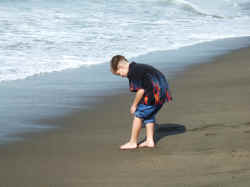 DSCF1436.JPG (3078835 bytes)